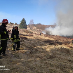 Požar Brezovac 2019!